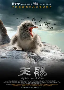 《天赐》：一场关于爱与救赎的奇幻之旅，触动心灵的佳作