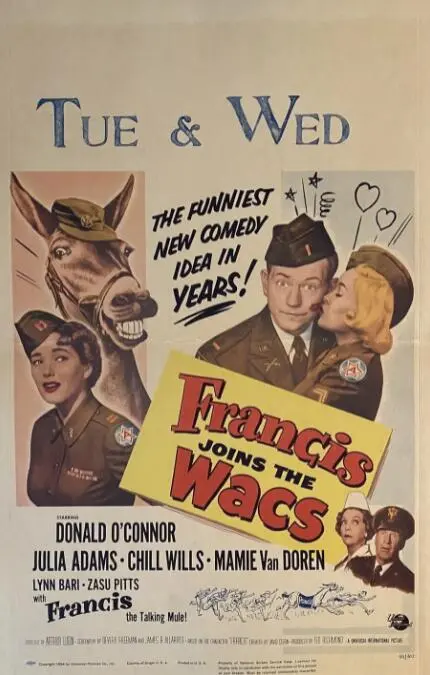 《神骡大闹脂粉阵》：爆笑喜剧还是另类武侠？看一头神骡如何搅动江湖风云！