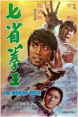 《七省拳王》：一场惊心动魄的武林对决，探寻家族荣耀与个人恩怨的恩怨情仇